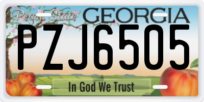 GA license plate PZJ6505