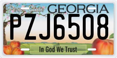 GA license plate PZJ6508