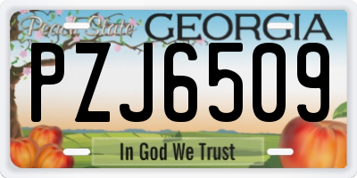 GA license plate PZJ6509