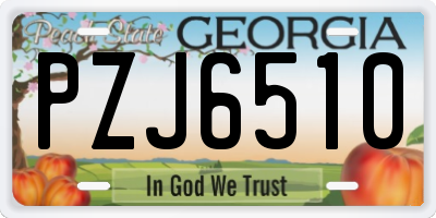 GA license plate PZJ6510