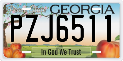 GA license plate PZJ6511