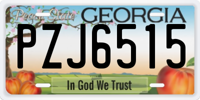 GA license plate PZJ6515