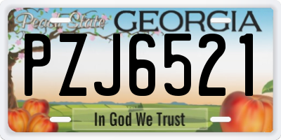GA license plate PZJ6521