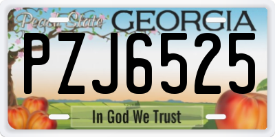 GA license plate PZJ6525