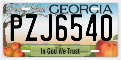 GA license plate PZJ6540