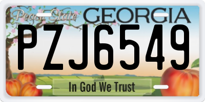 GA license plate PZJ6549