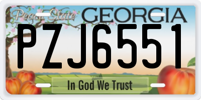 GA license plate PZJ6551