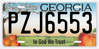 GA license plate PZJ6553