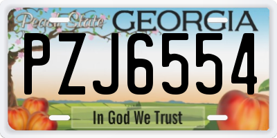 GA license plate PZJ6554