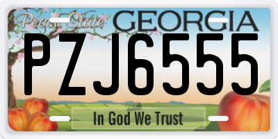 GA license plate PZJ6555