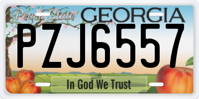 GA license plate PZJ6557