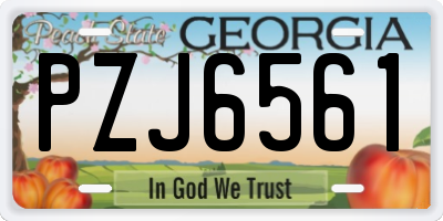 GA license plate PZJ6561