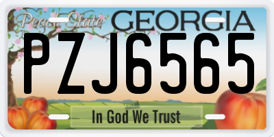 GA license plate PZJ6565