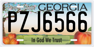 GA license plate PZJ6566