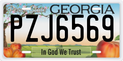 GA license plate PZJ6569