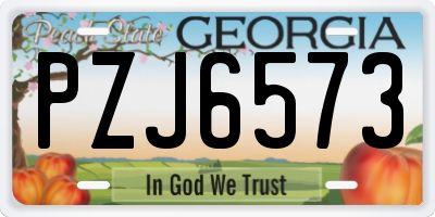 GA license plate PZJ6573