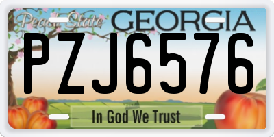 GA license plate PZJ6576