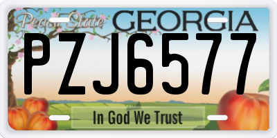 GA license plate PZJ6577