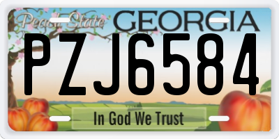 GA license plate PZJ6584