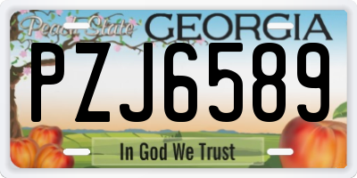 GA license plate PZJ6589
