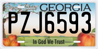 GA license plate PZJ6593