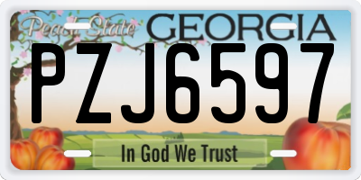GA license plate PZJ6597