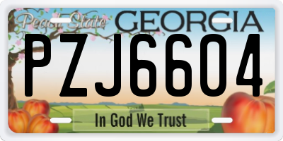 GA license plate PZJ6604