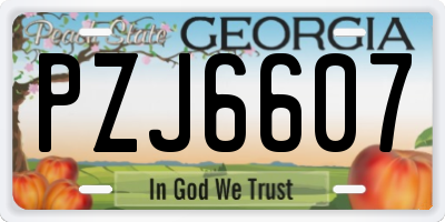 GA license plate PZJ6607