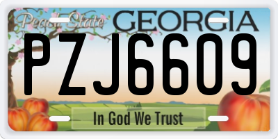 GA license plate PZJ6609