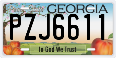GA license plate PZJ6611