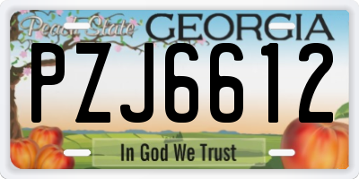 GA license plate PZJ6612