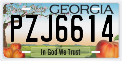 GA license plate PZJ6614
