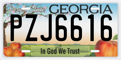 GA license plate PZJ6616