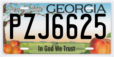 GA license plate PZJ6625