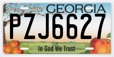 GA license plate PZJ6627