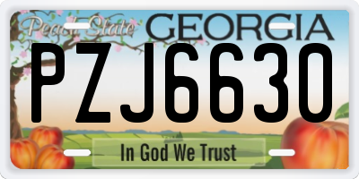 GA license plate PZJ6630