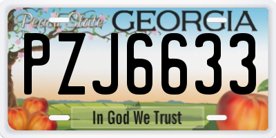 GA license plate PZJ6633