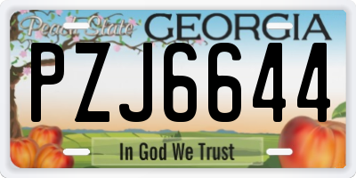GA license plate PZJ6644