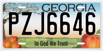 GA license plate PZJ6646