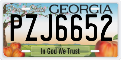 GA license plate PZJ6652