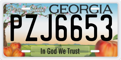 GA license plate PZJ6653