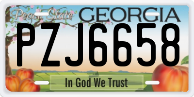 GA license plate PZJ6658