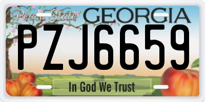 GA license plate PZJ6659