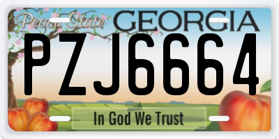 GA license plate PZJ6664