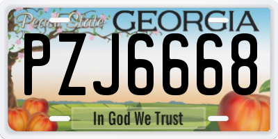 GA license plate PZJ6668