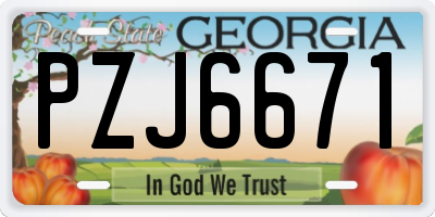GA license plate PZJ6671