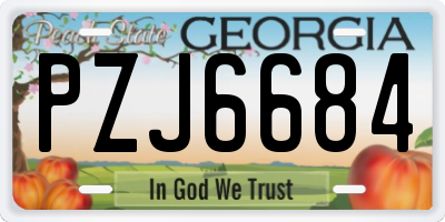 GA license plate PZJ6684
