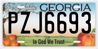 GA license plate PZJ6693