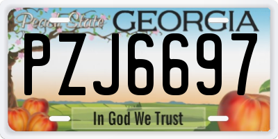 GA license plate PZJ6697