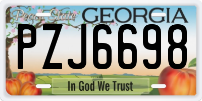 GA license plate PZJ6698